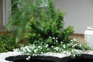 Centre Court B & B,Durban North>>Durban,4 star