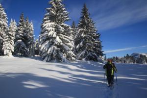 alpin chalets
