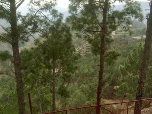 durgesh hillock resort