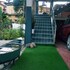 homestay by the tea garden dibrugarh