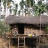 homestay by the tea garden dibrugarh