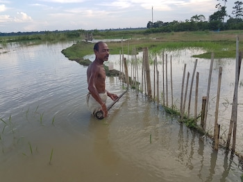 homestay by the tea garden dibrugarh