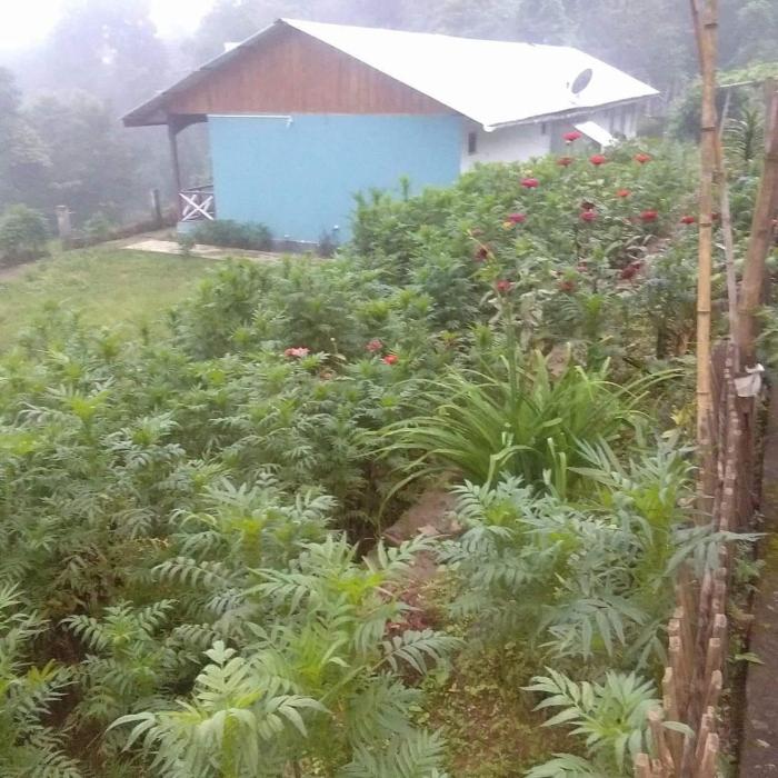 vamoose green valley village resort