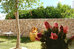 corte di nettuno cdshotels