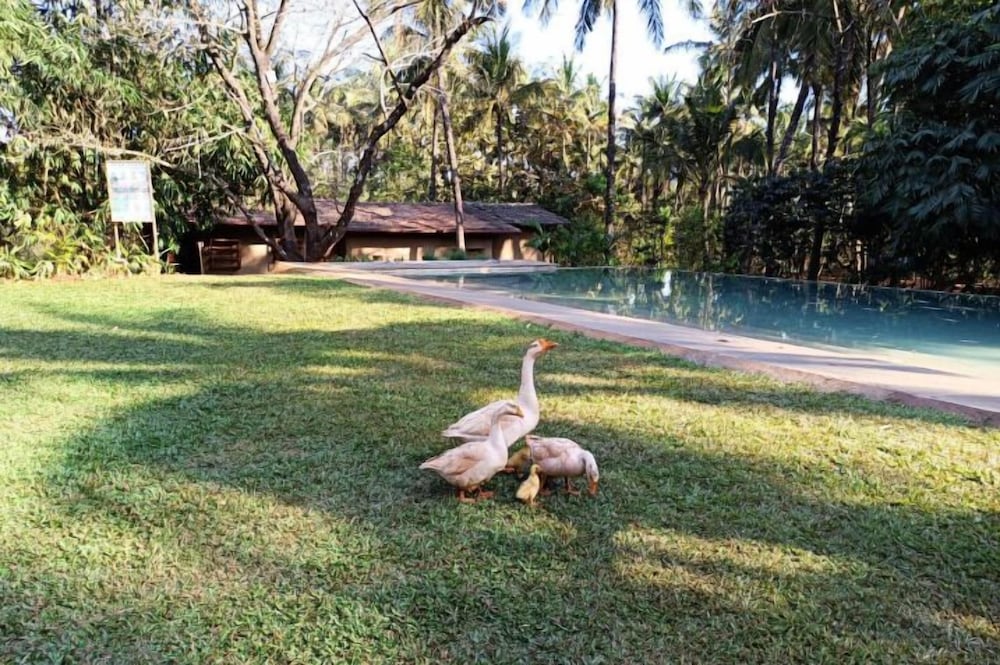 the orchard resort