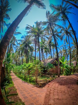 the orchard resort