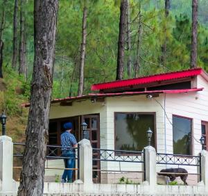 Pine Valley Resort,Kharar>>Kasauli,3 star