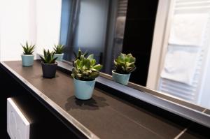 mood contemporary living