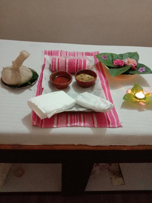rudram hotel yoga and ayurveda retreat