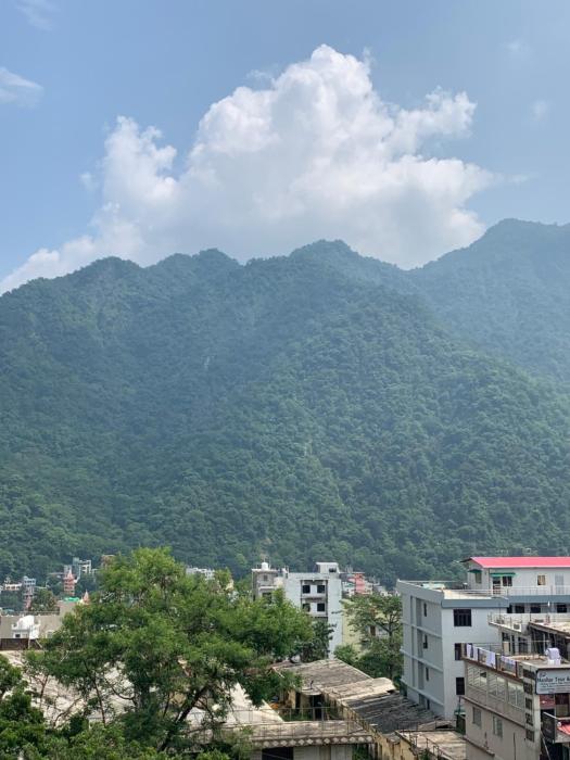 rudram hotel yoga and ayurveda retreat