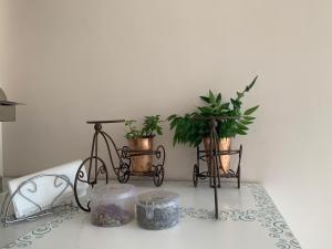 rudram hotel yoga and ayurveda retreat