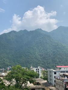 rudram hotel yoga and ayurveda retreat