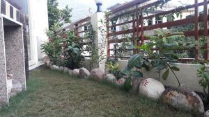 rudram hotel yoga and ayurveda retreat