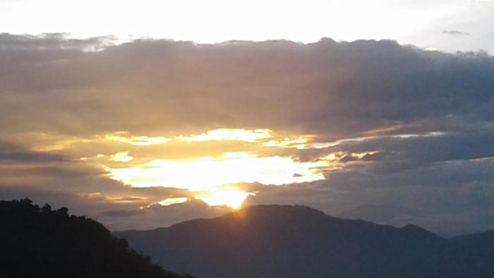 vamoose ashis homestay