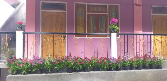 vamoose ashis homestay