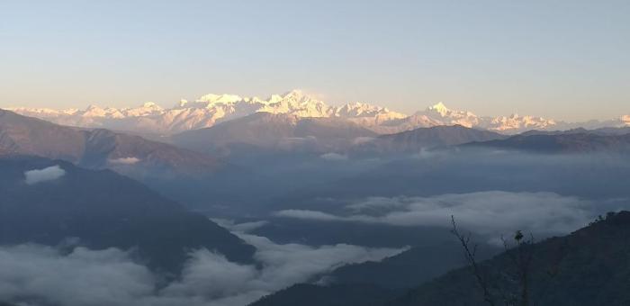 vamoose ashis homestay