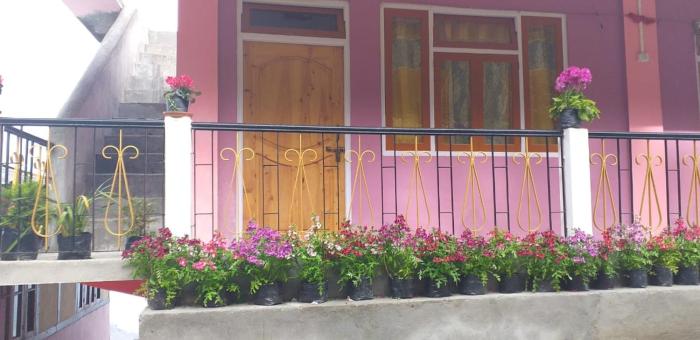 vamoose ashis homestay