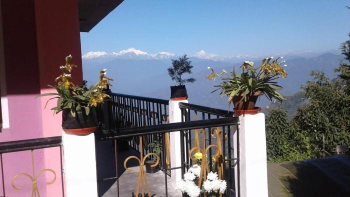 vamoose ashis homestay