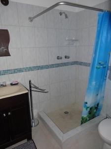 holiday home belvedere