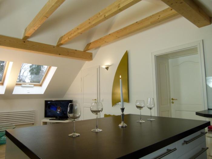 lakestarnberg apartments