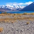 pangong