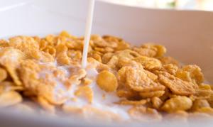 hostal pelikan taganga