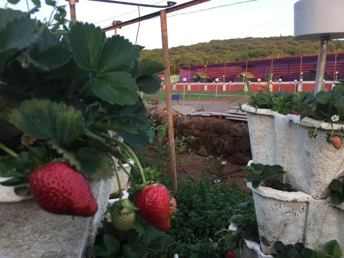 sabas tent and camping