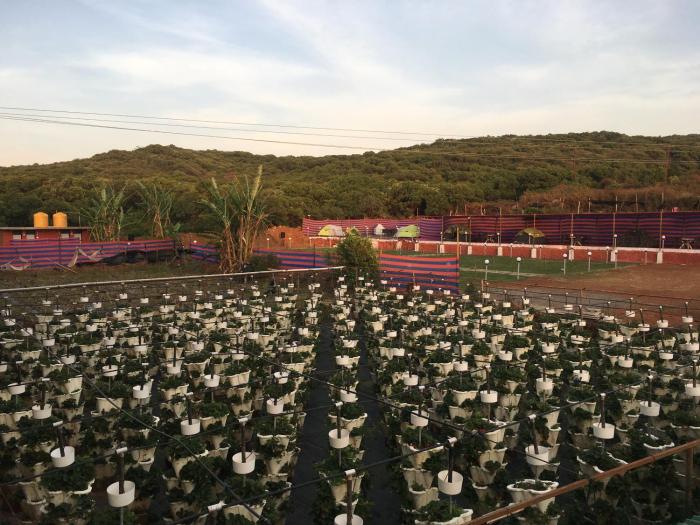 sabas tent and camping