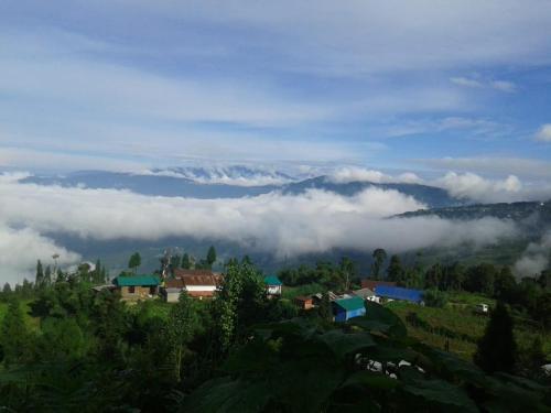vamoose kunga delek