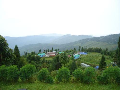 vamoose kunga delek