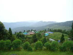 vamoose kunga delek