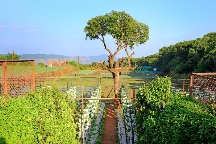 hrishikesh villa besides valley