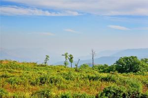 Hrishikesh Villa, Besides Valley,Avakali>>Mahabaleshwar,3 star