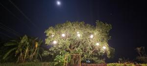 hrishikesh villa besides valley