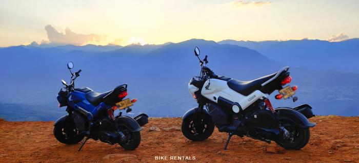 trip monkey hostel