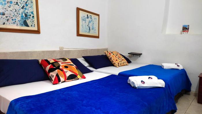 trip monkey hostel