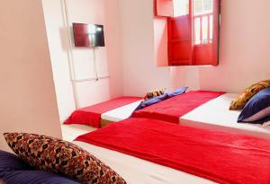 Trip Monkey Hostel,San Gil>>Bucaramanga,2 star