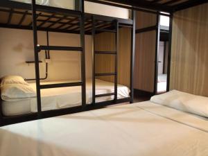 trip monkey hostel