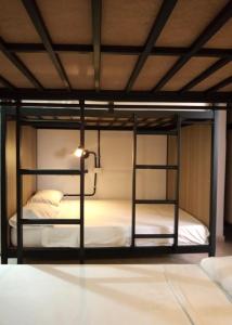 trip monkey hostel
