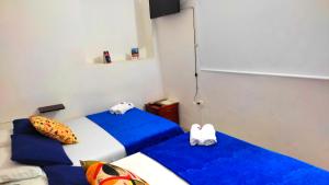 trip monkey hostel
