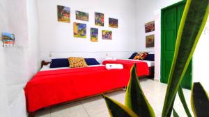 trip monkey hostel