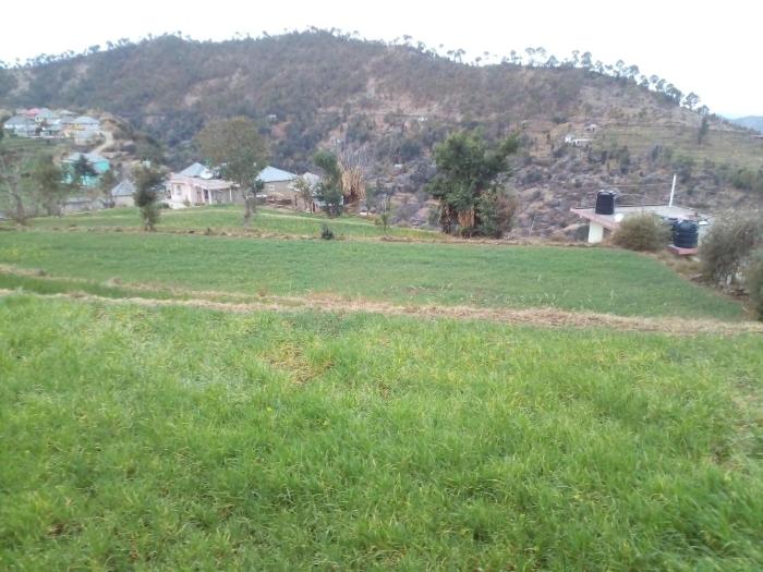 sharma home stay