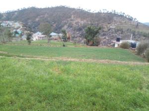 sharma home stay