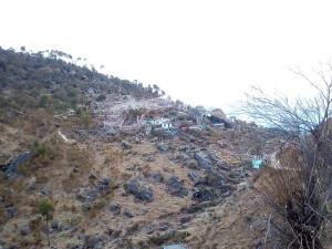 sharma home stay