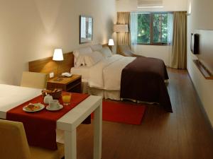 dazzler by wyndham buenos aires maipu