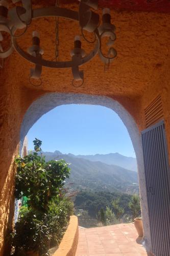 torrox