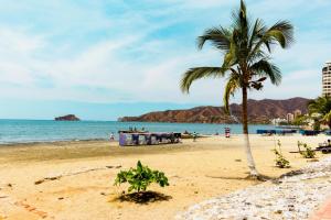 santa marta