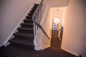 helvetia suites
