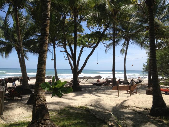 hotel tropico latino