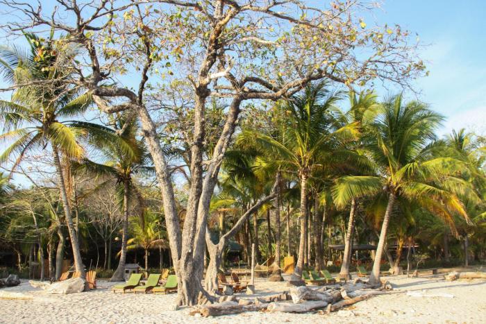 hotel tropico latino